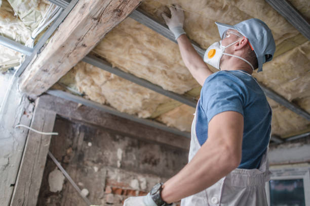 Best Specialized Insulation Services in Shelton, NE