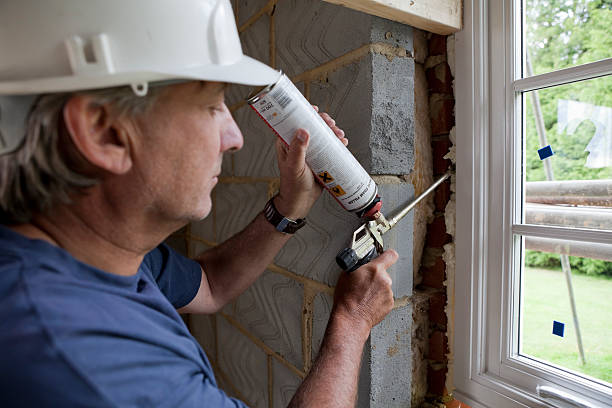 Best Geographic-Specific Insulation Services in Shelton, NE