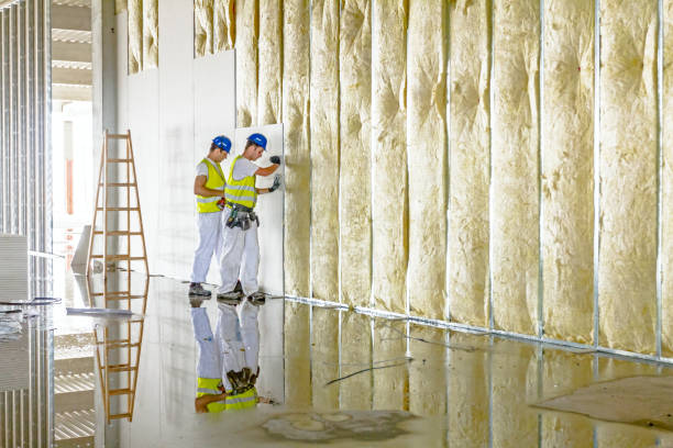 Best Insulation Maintenance and Repair in Shelton, NE